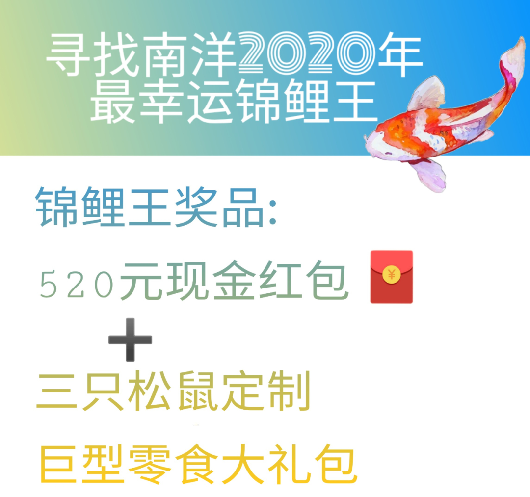 33.png 33.png